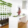 green white kitchen indoor herb garden plant wall