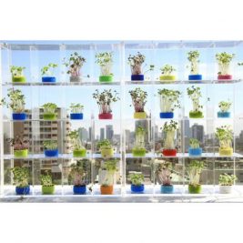 Window herb box planters indoor garden colourful kitchen