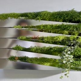 Silver Mirror Metallic salad wall indoor kitchen herb garden Miroir en Herbe