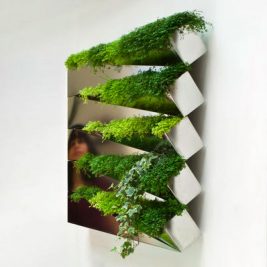 Miroir en Herbe indoor herb garden salad wall