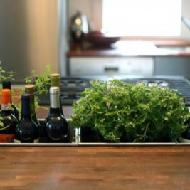 mini indoor herb garden wine drop box in wood countertop