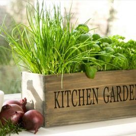 Country kitchen mini garden herb window planter